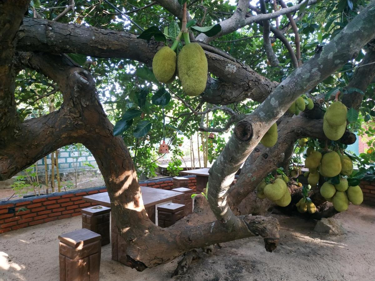 Sigiriya Cashew Palace Resort Daganapothaha Exterior photo