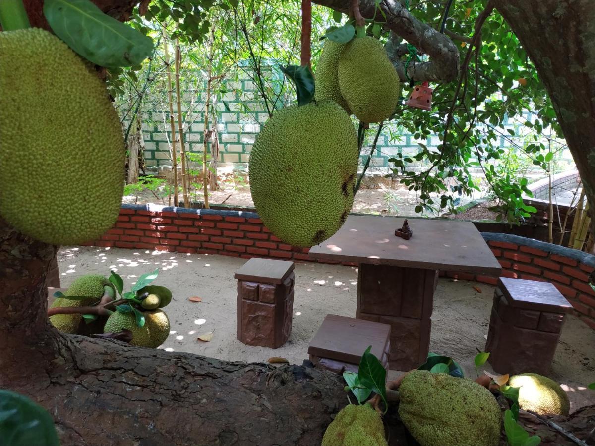 Sigiriya Cashew Palace Resort Daganapothaha Exterior photo
